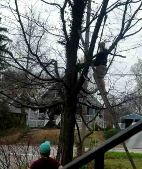 2020-03-27 Chainsaw on a stick.jpg